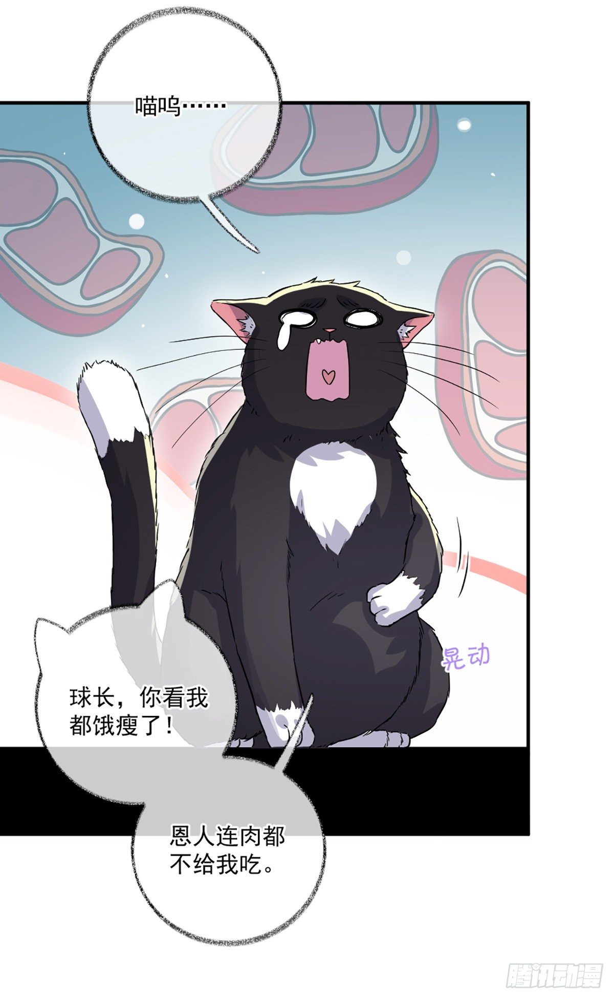 你是这样的恩人喵~3