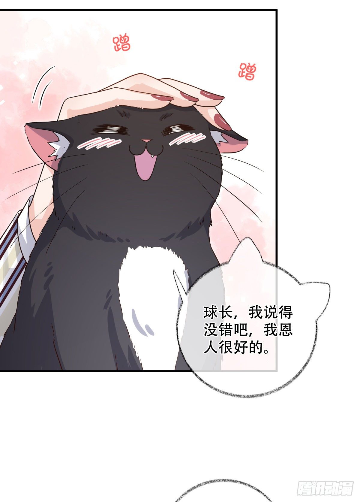 大型修罗场喵~20
