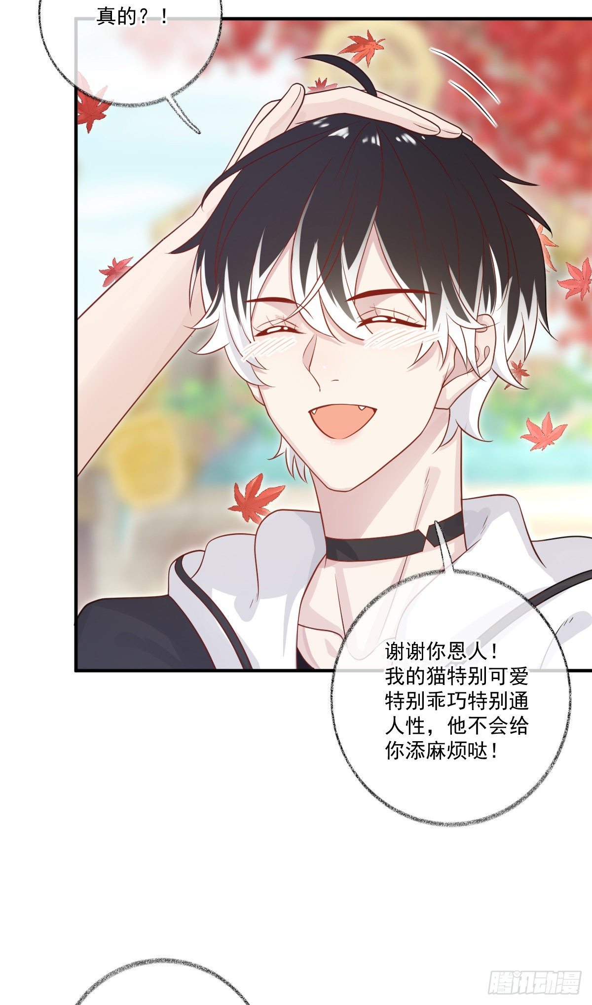 我养你喵~24