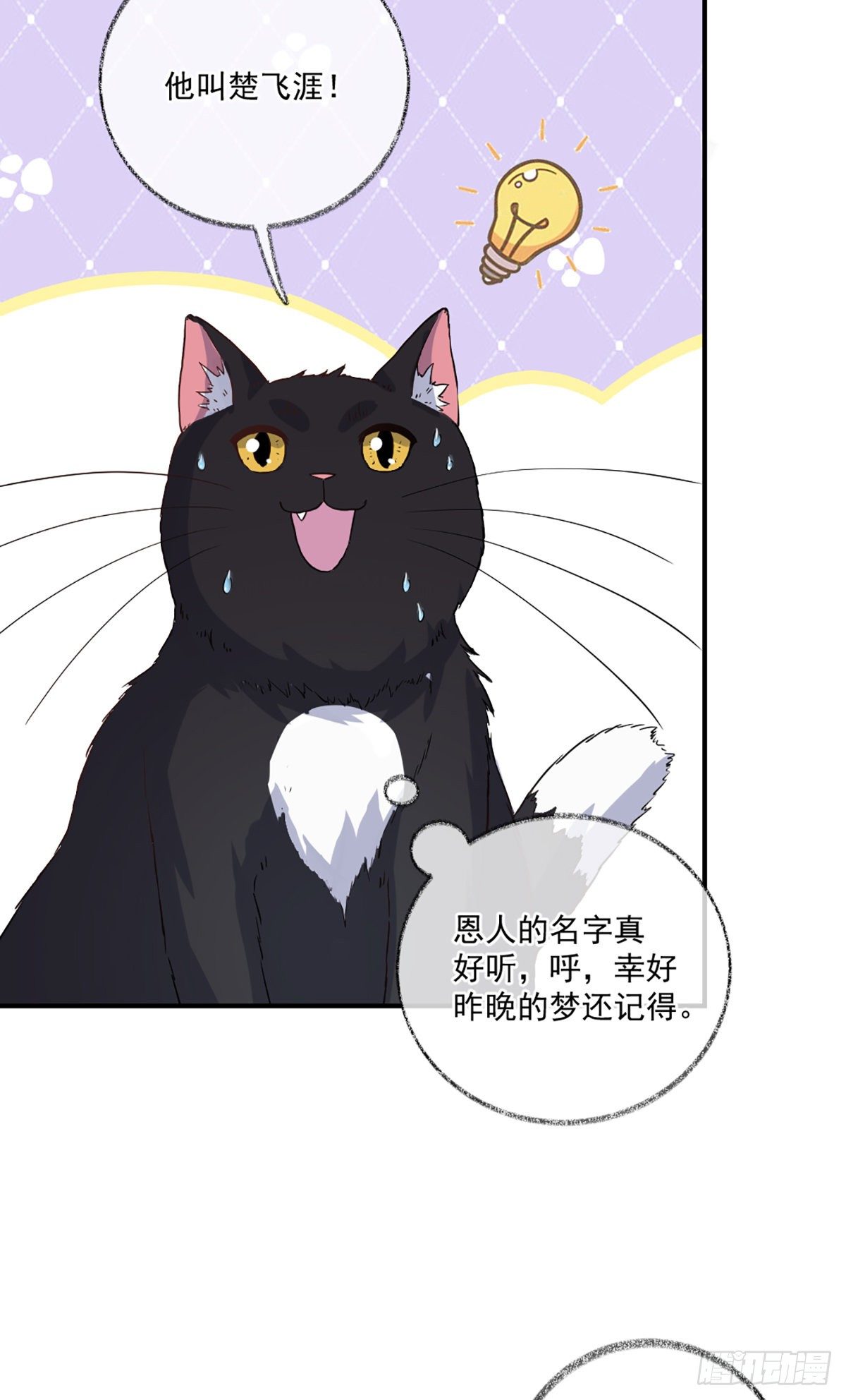 你是这样的恩人喵~9