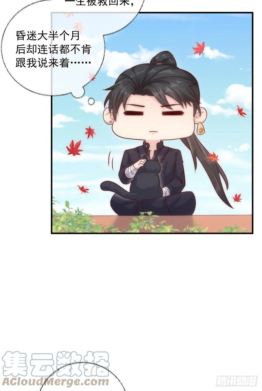 未来可期喵~2