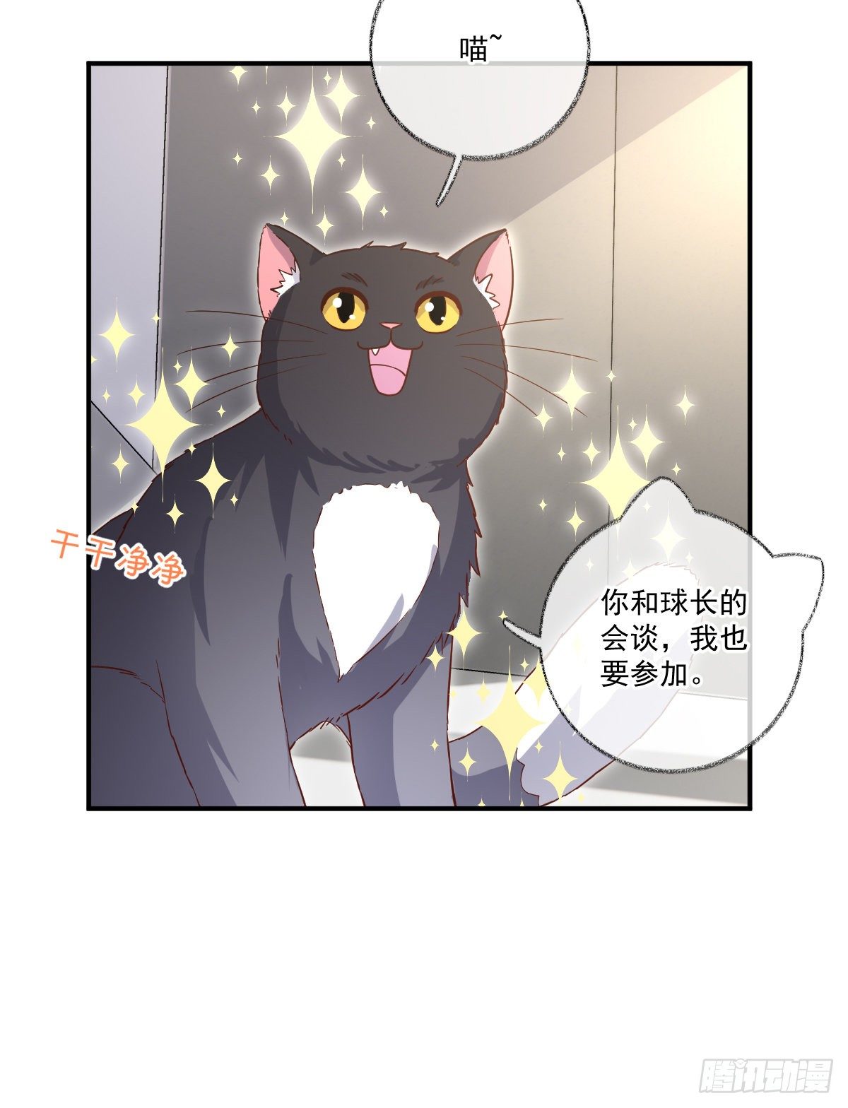 群猫踢馆喵~21