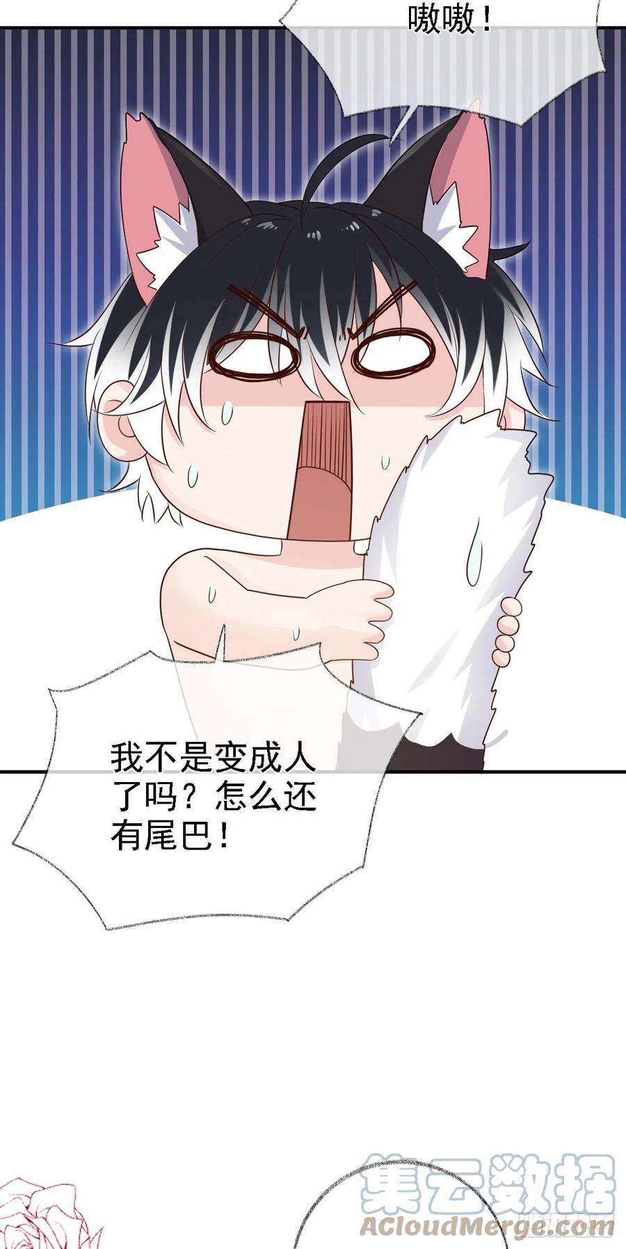猫耳少年喵~26