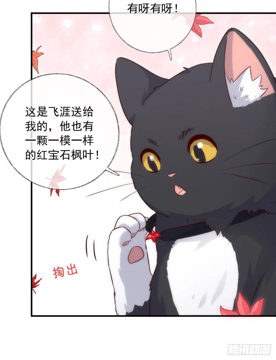 未来可期喵~9