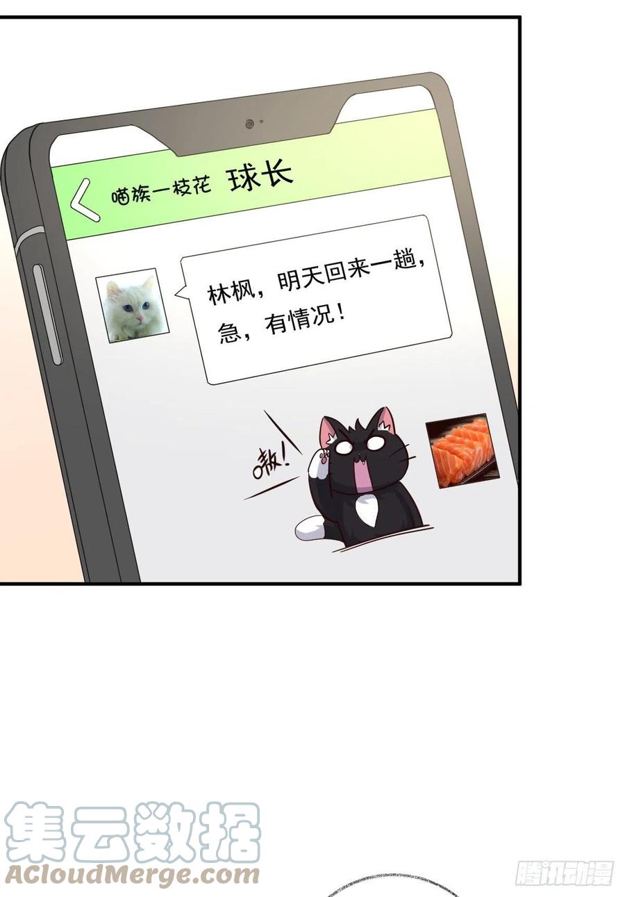有我在不孤单喵~26