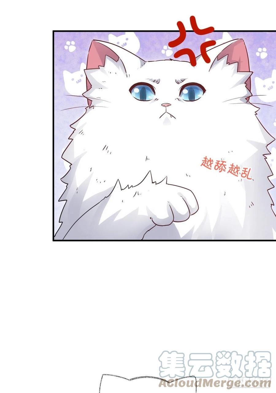还是我不对劲喵~2