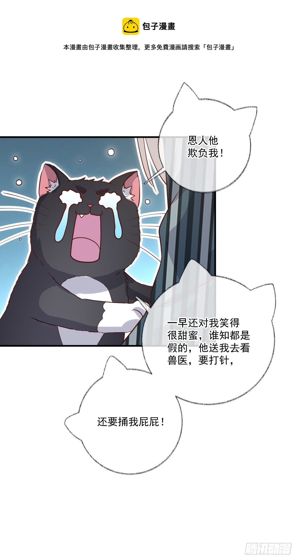 我不绝育喵！29
