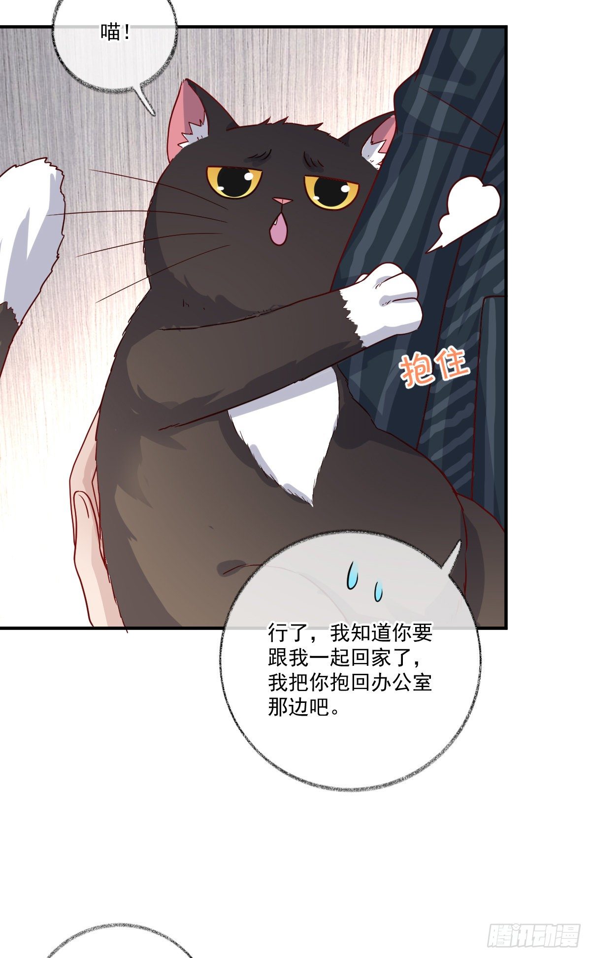 生气了哄不好喵~3