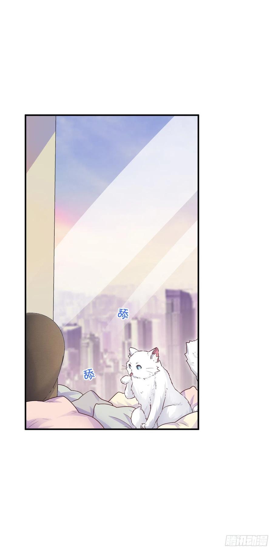 还是我不对劲喵~1
