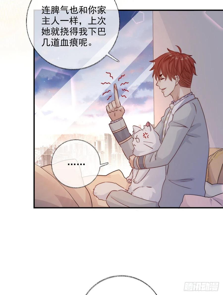 还是我不对劲喵~15