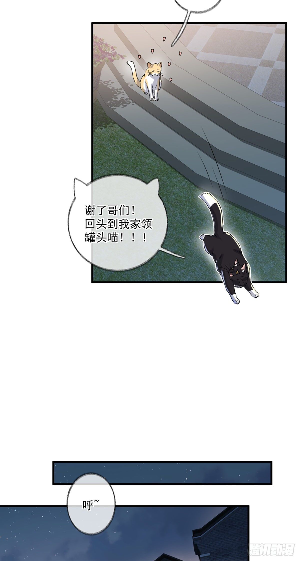 恩人你在哪里呀喵~37