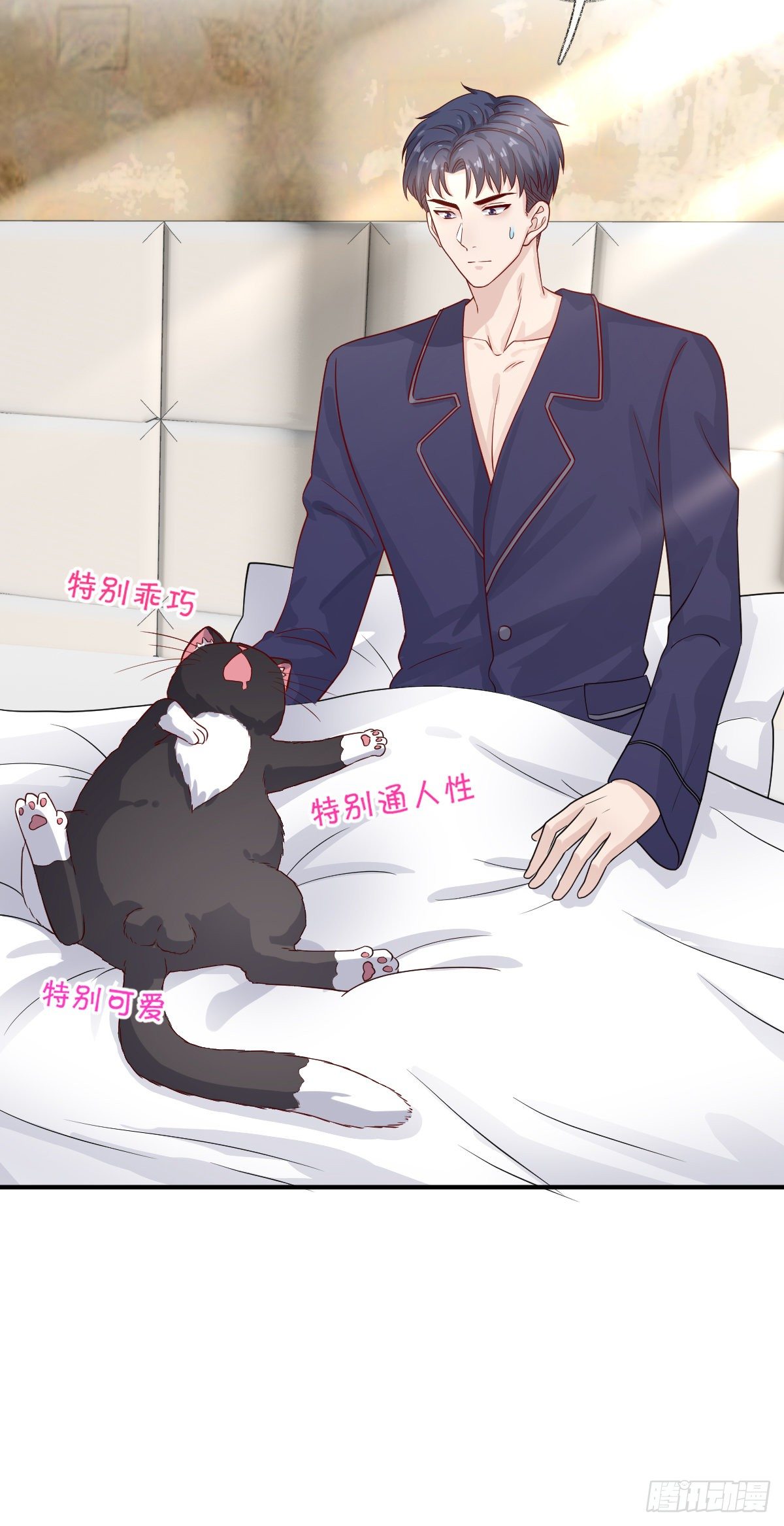 我养你喵~30