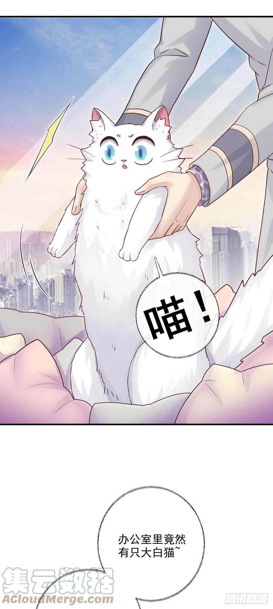 还是我不对劲喵~4