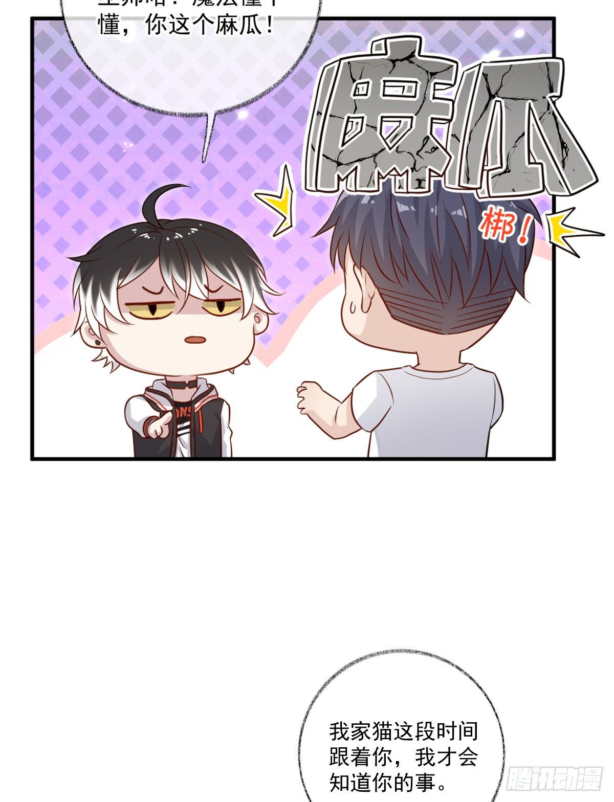 我养你喵~6