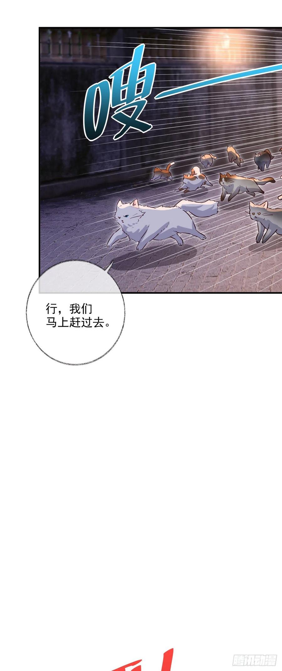 来不及了喵~5