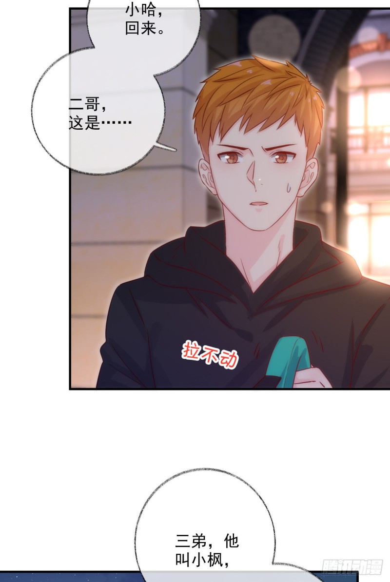 最后一根稻草喵~7