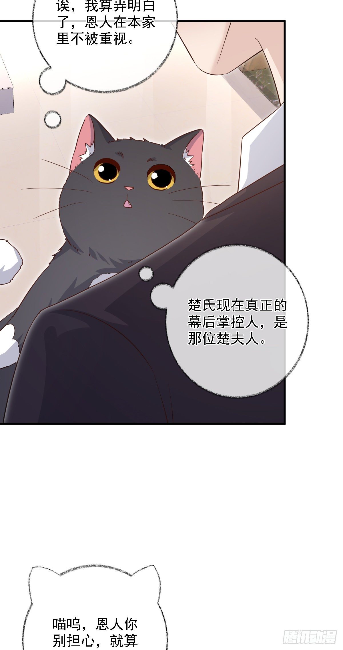 有我在别怕喵~24