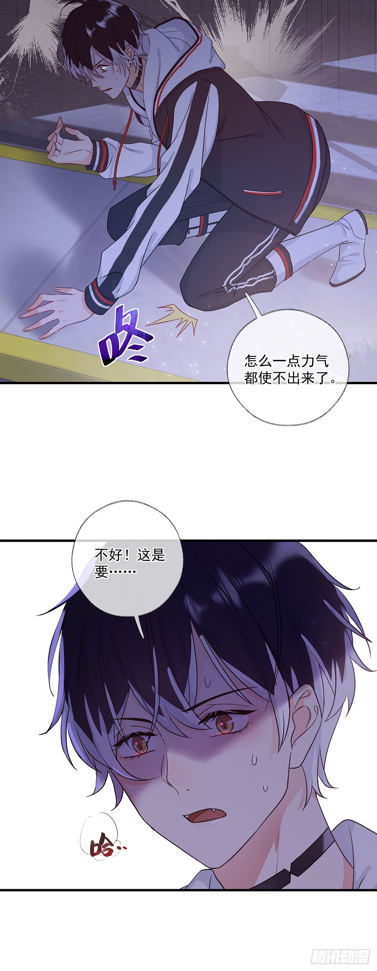 最后的晚餐喵~39