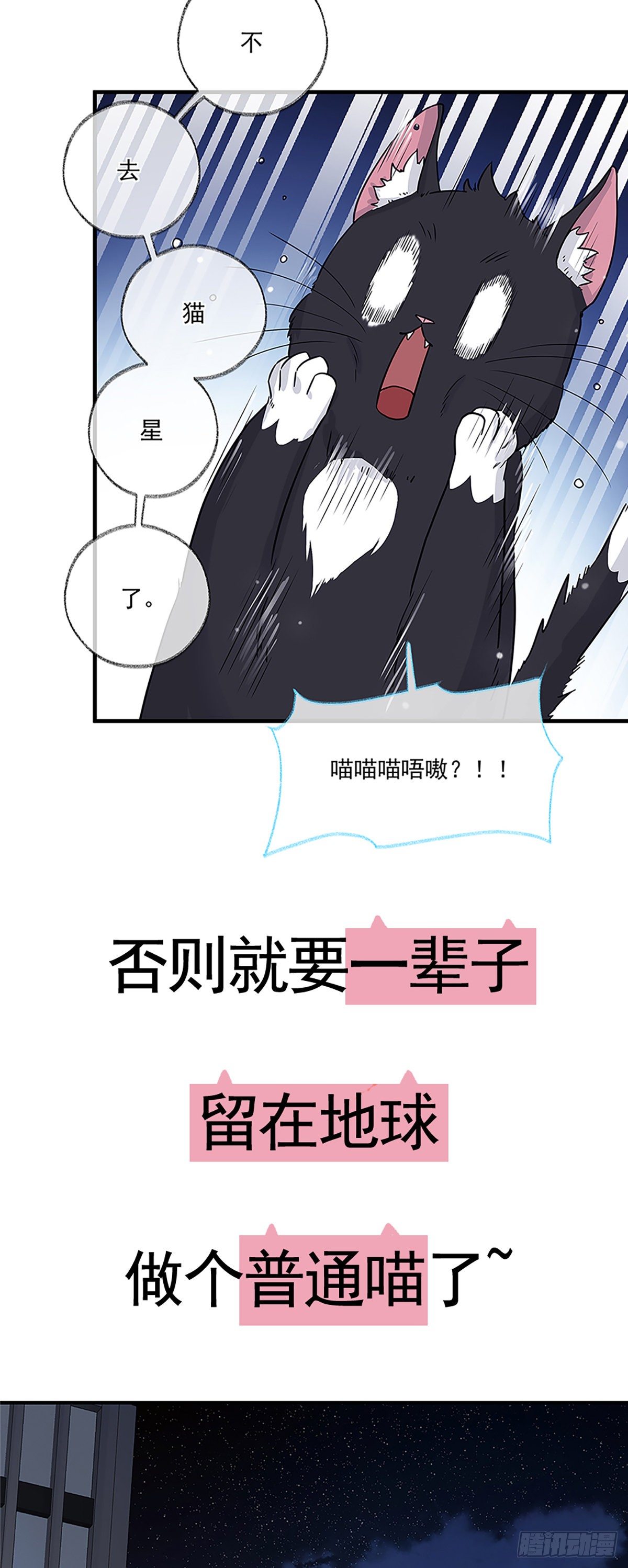 预告7