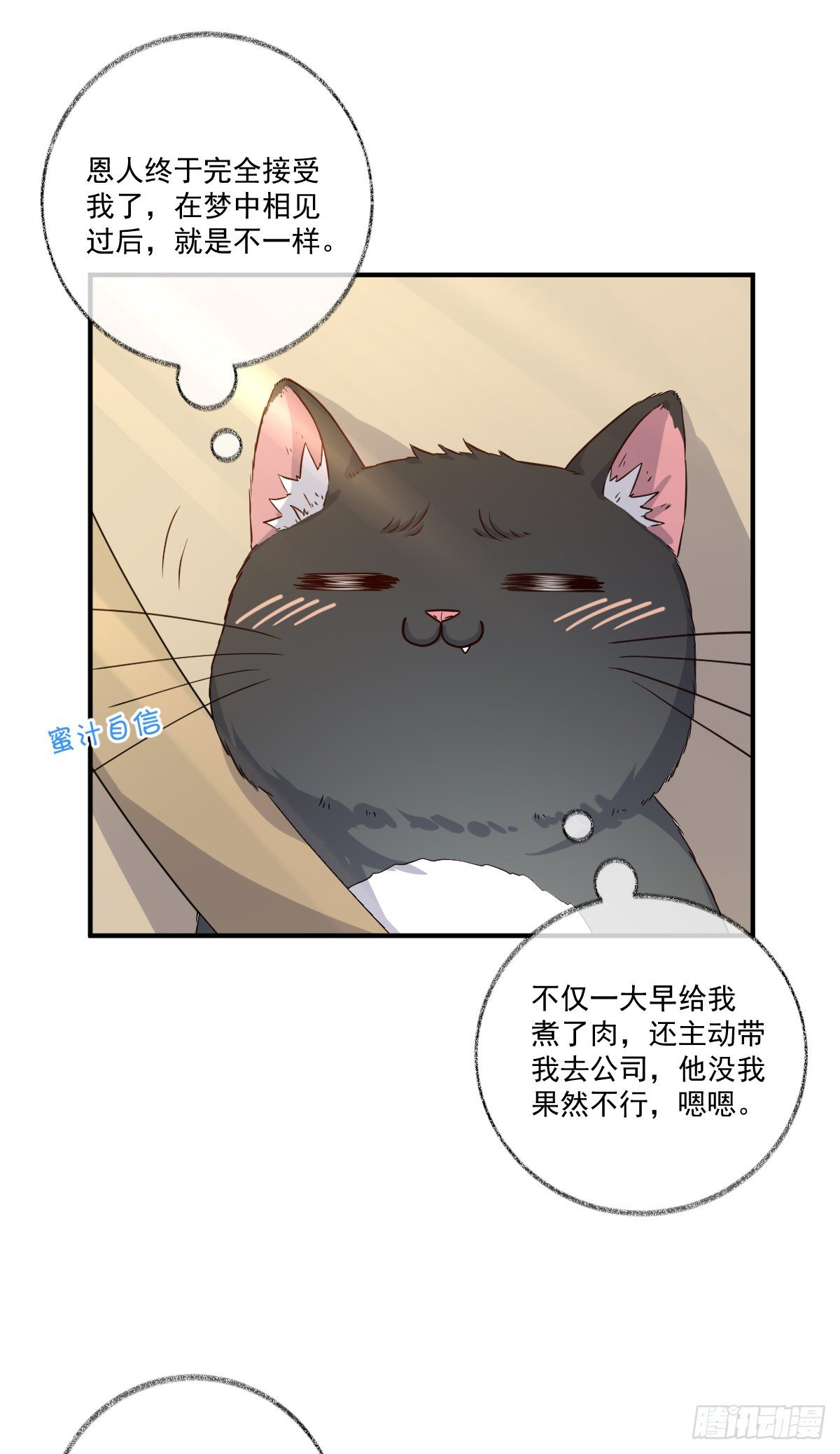 我不绝育喵！3