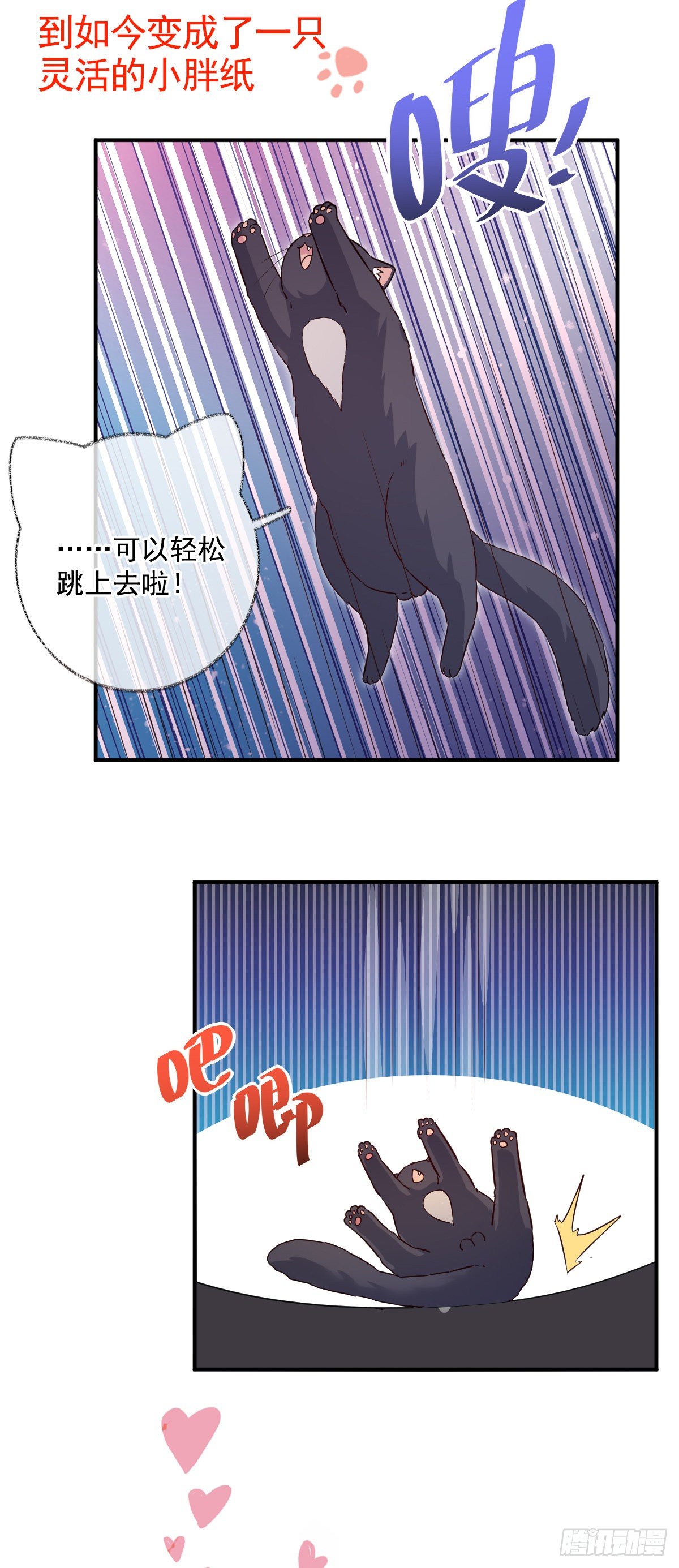 一如初见喵~23