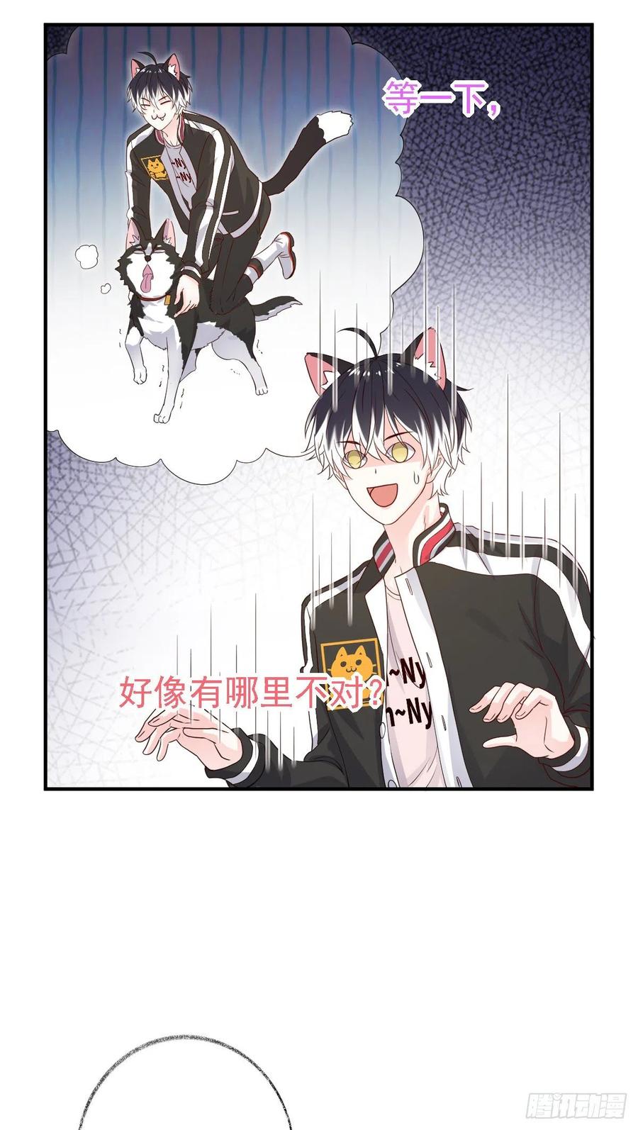 难道是爱情喵~19
