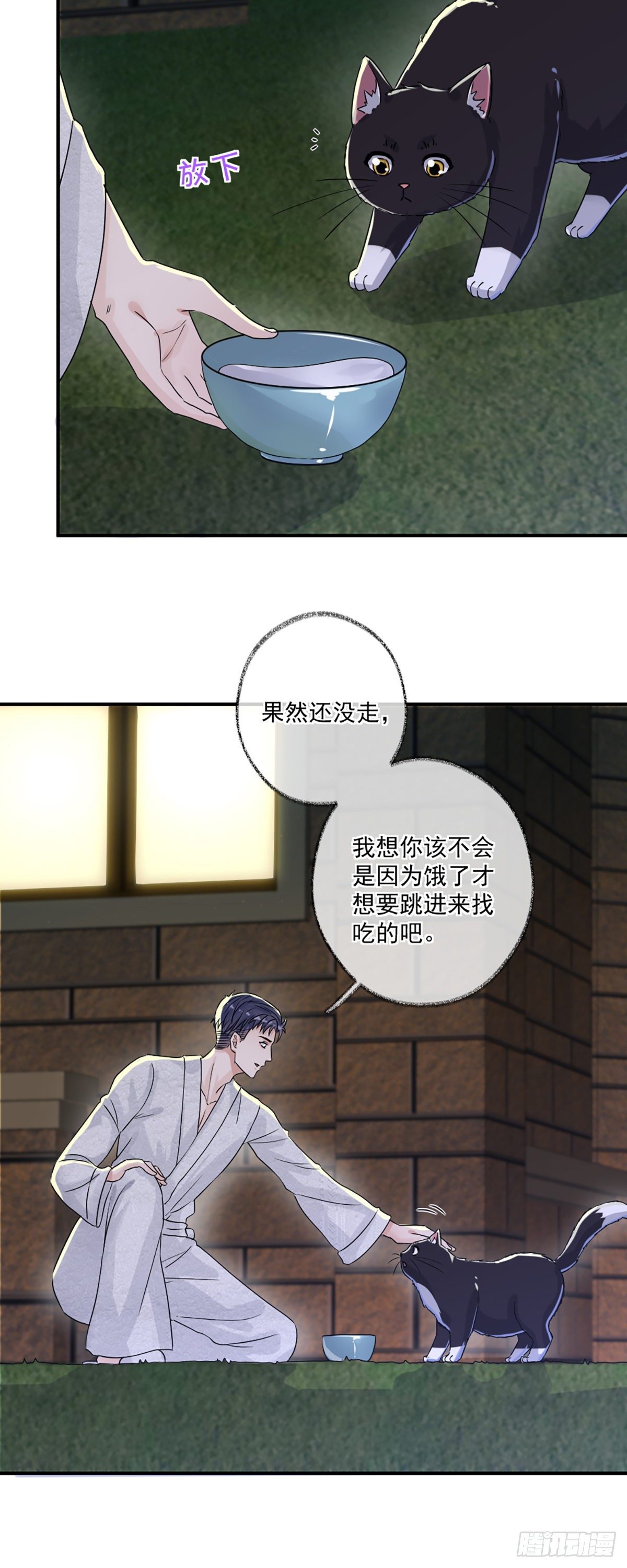 恩人嘴硬心软喵~10