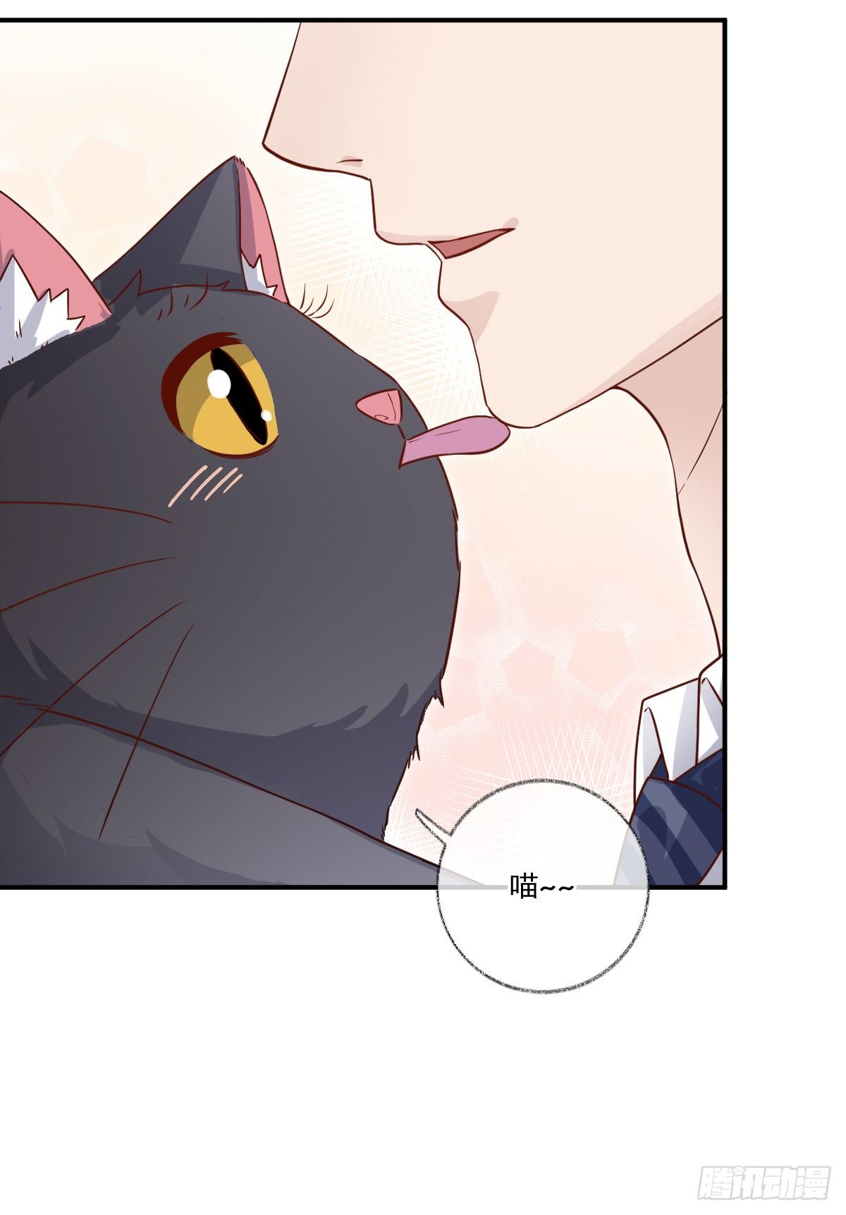群猫踢馆喵~25
