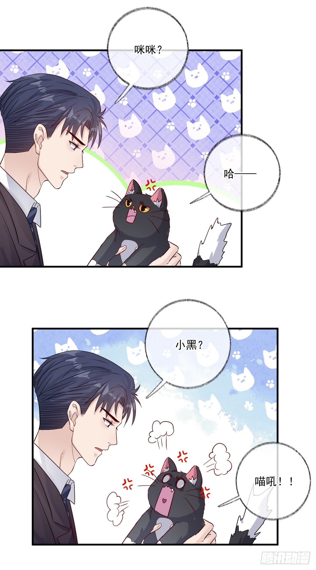 我不绝育喵！13
