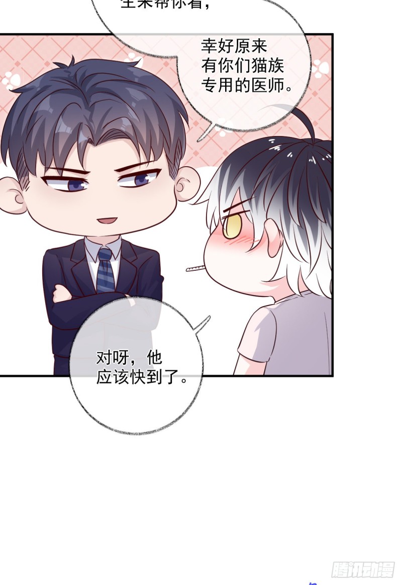 生病了喵~20