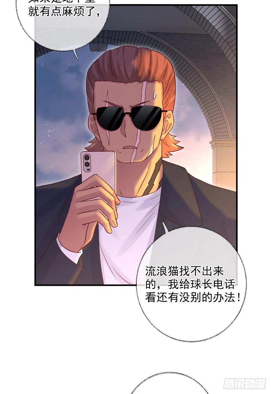 汪汪汪喵~17