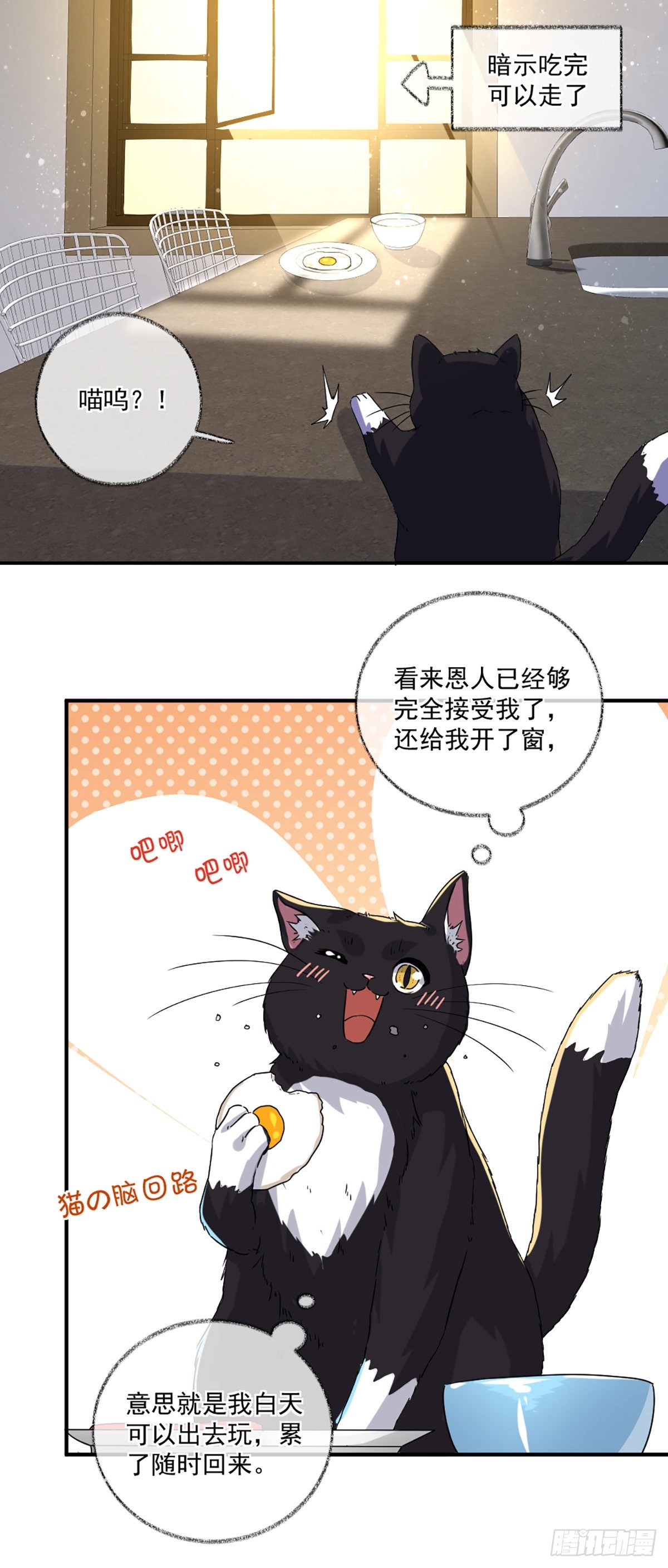 不要赶我走喵~19