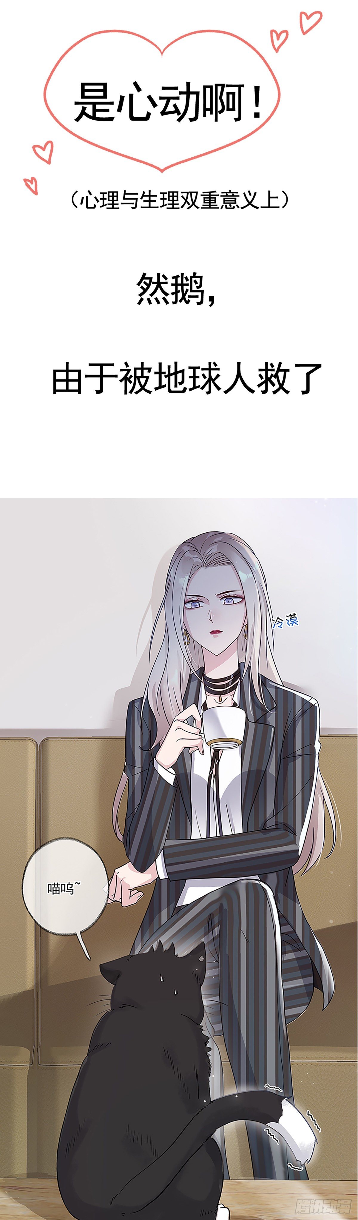 预告5