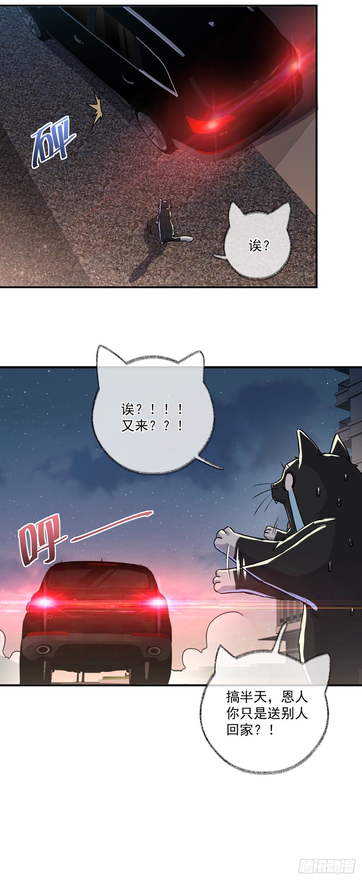 速度与激情喵~20