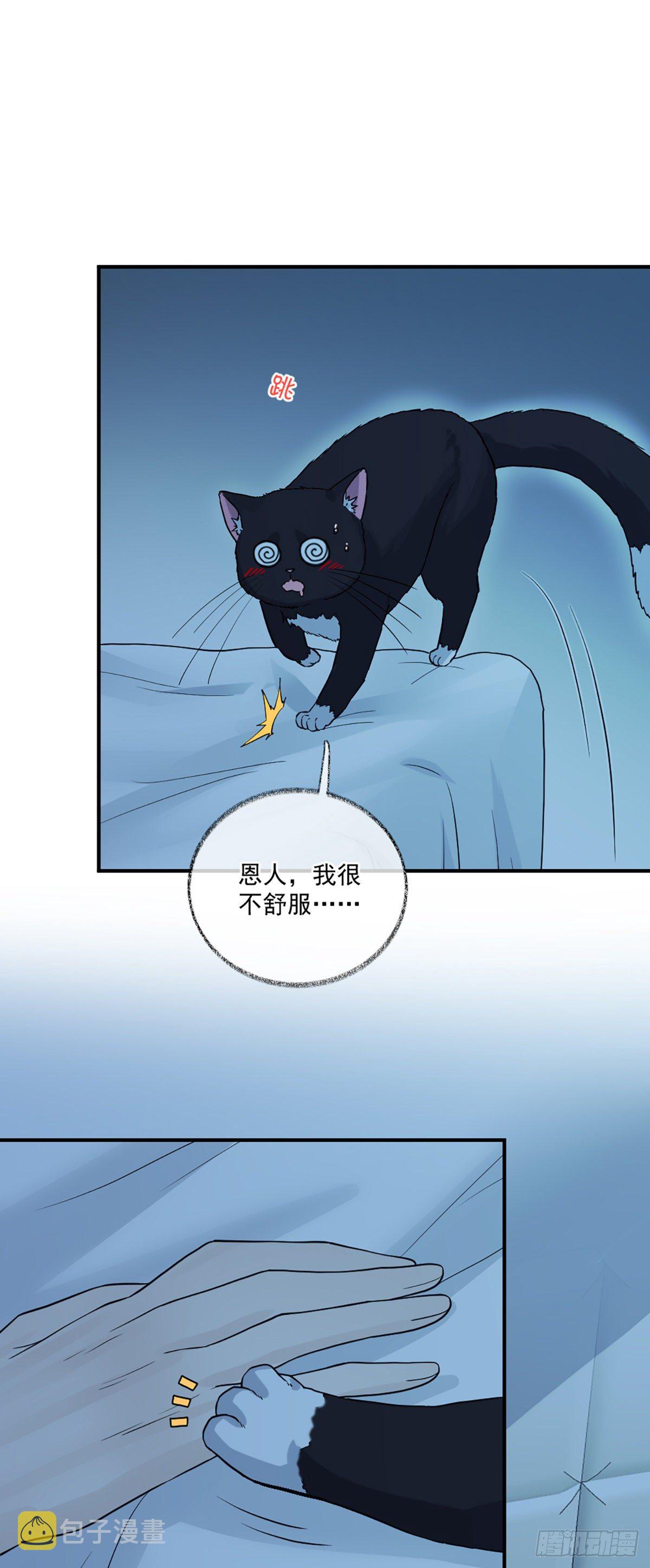 再次相见喵~3