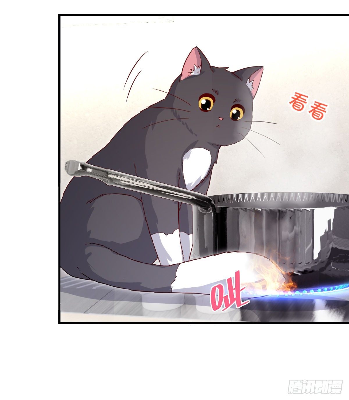 要见家长了怎么办喵？20