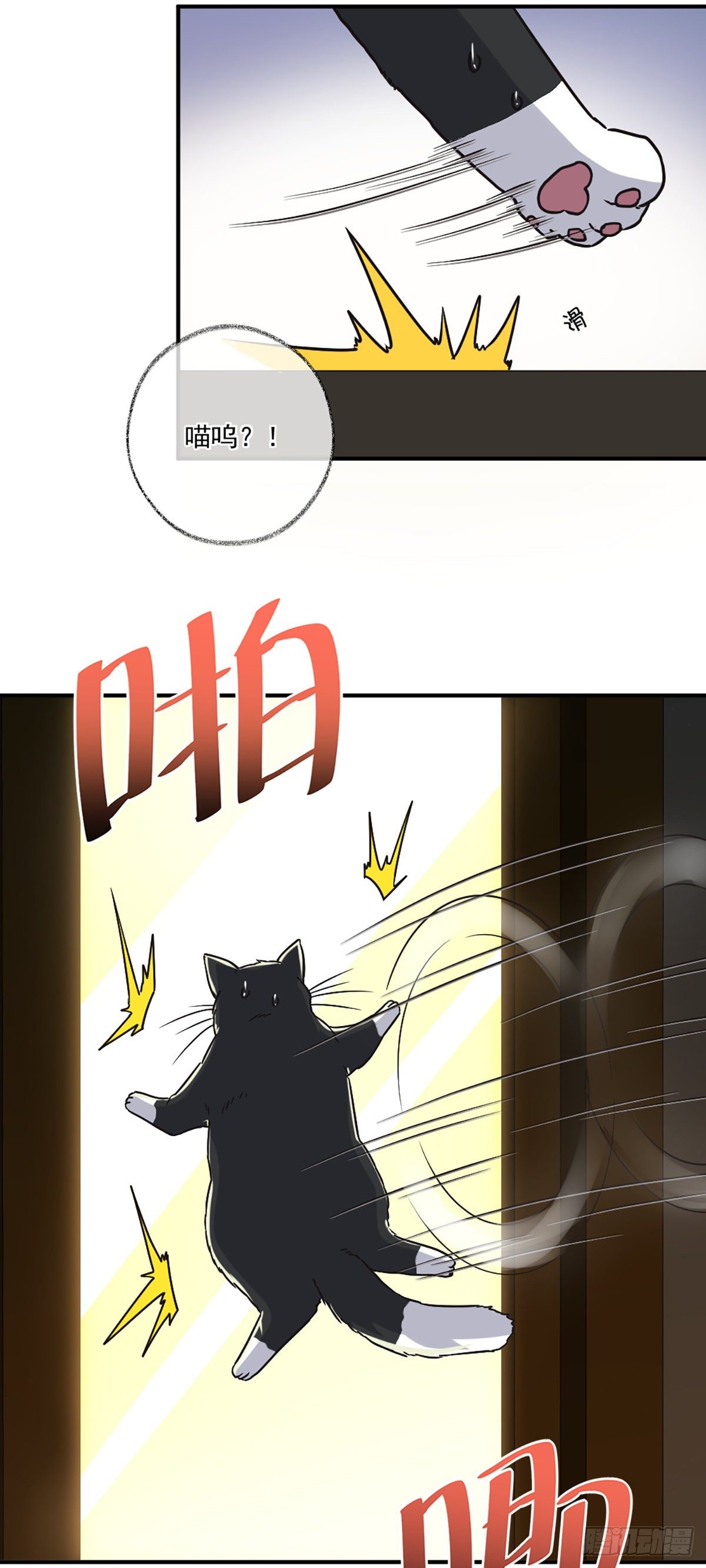 嘀嘀狗车17