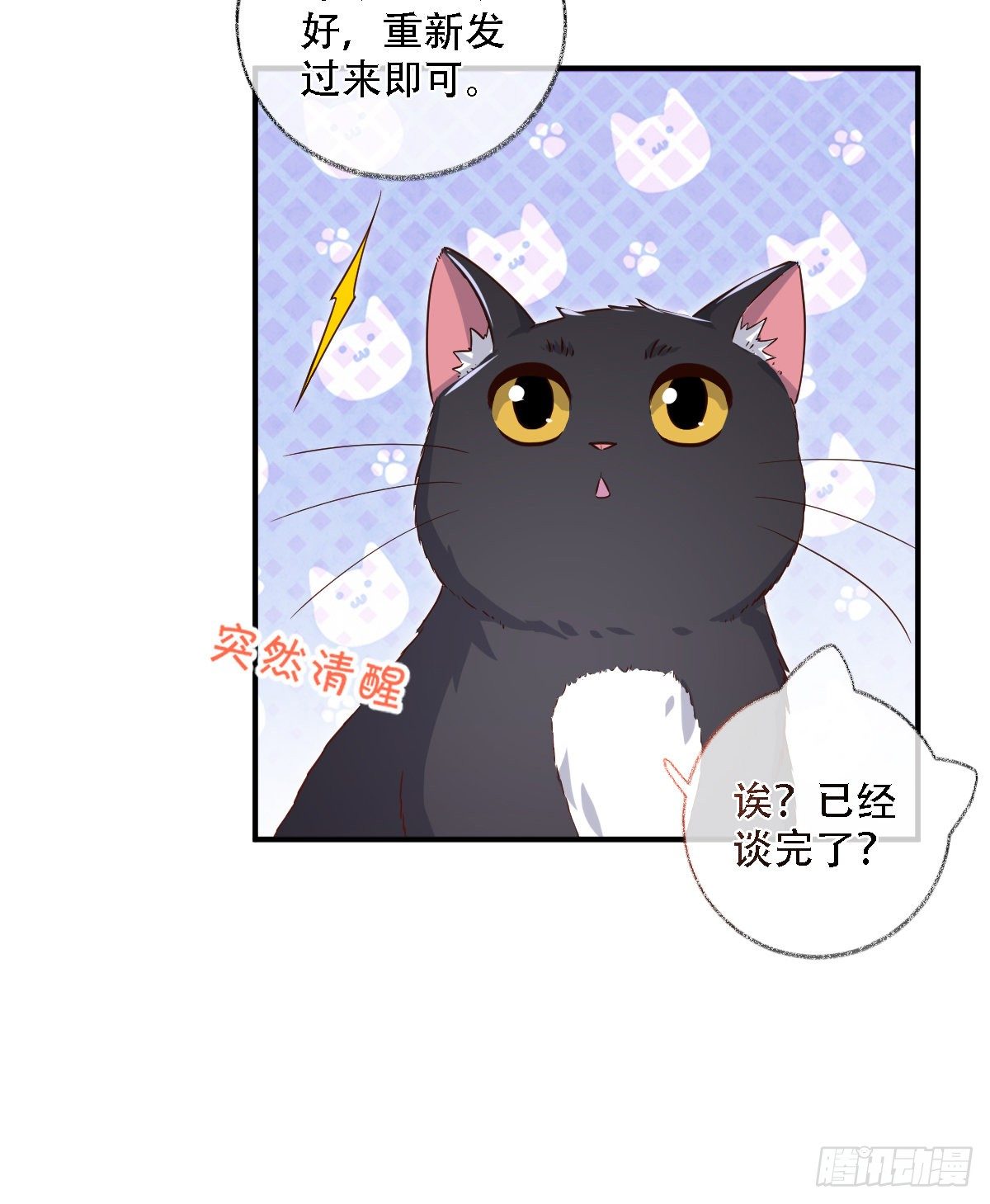 恩人才不会吃醋呢喵~12