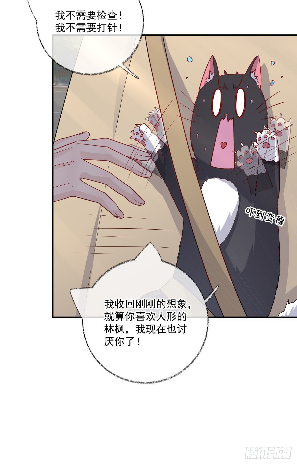 我不绝育喵！10
