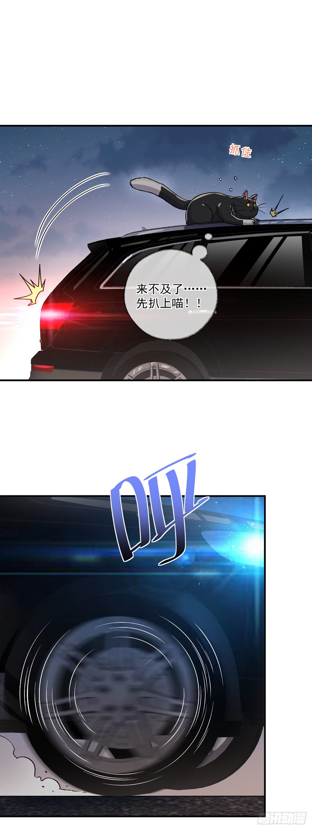 速度与激情喵~9