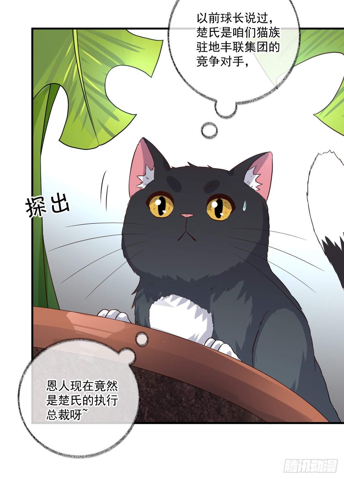 你们抢我先睡喵~13