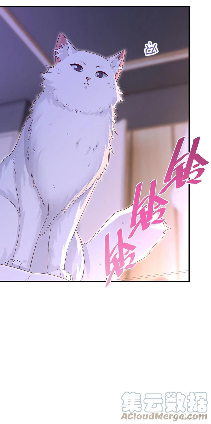 楚飞涯必须死喵~6