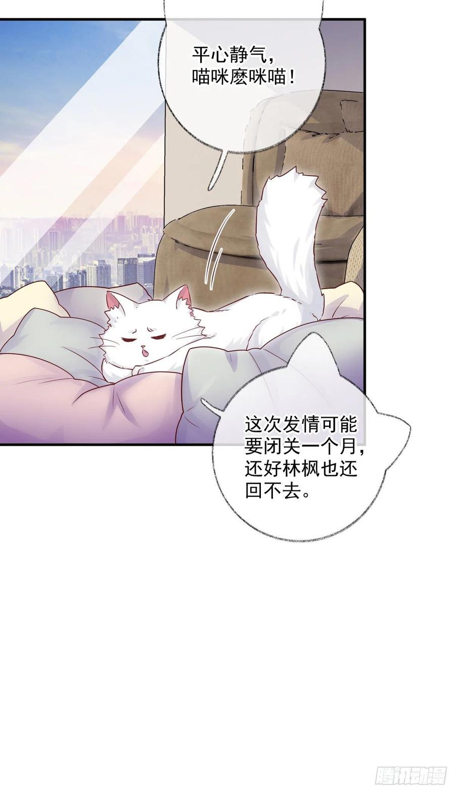 还是我不对劲喵~3