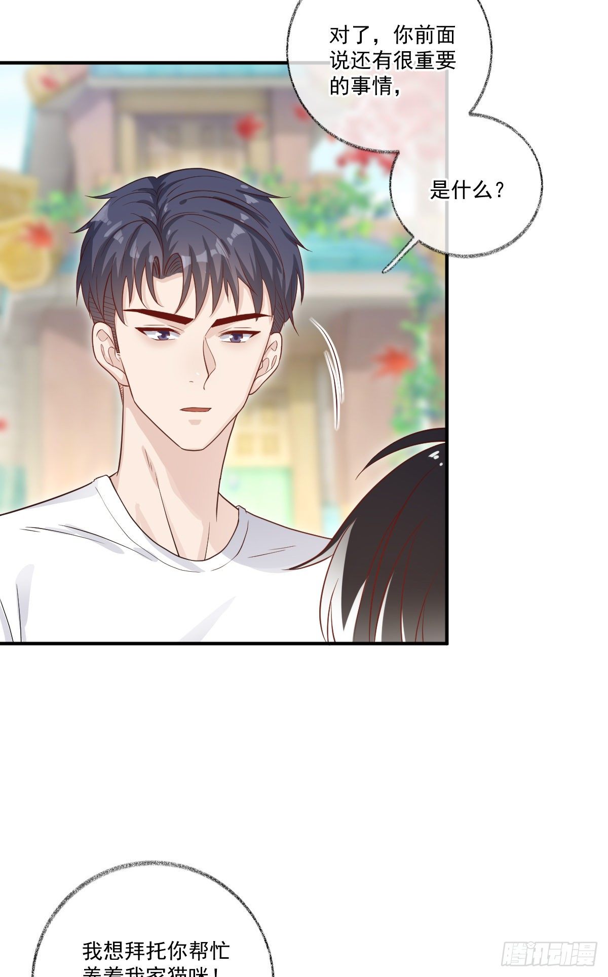 我养你喵~20