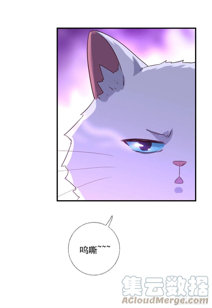 球长出关喵~30