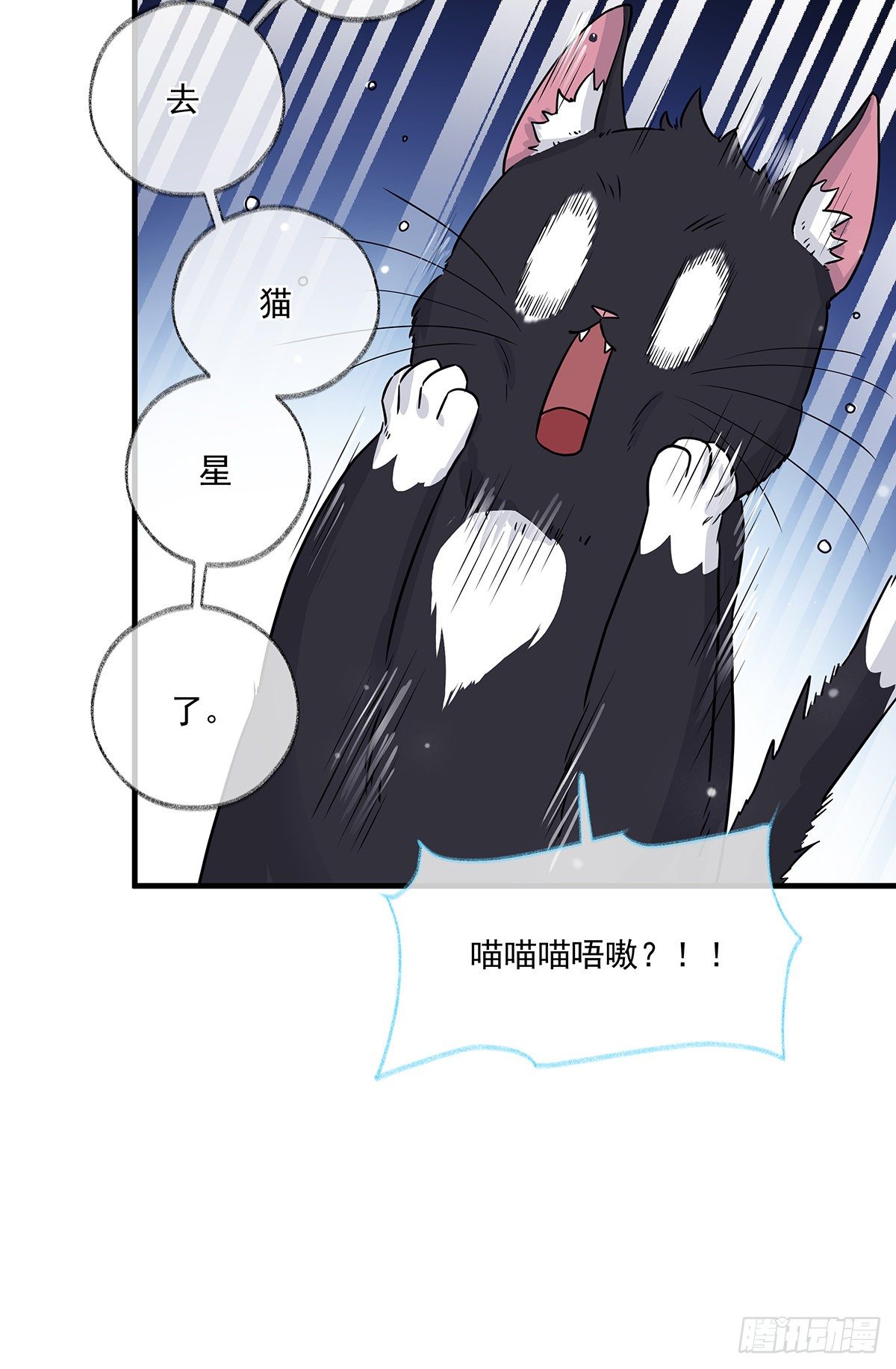 报恩是什么喵~27