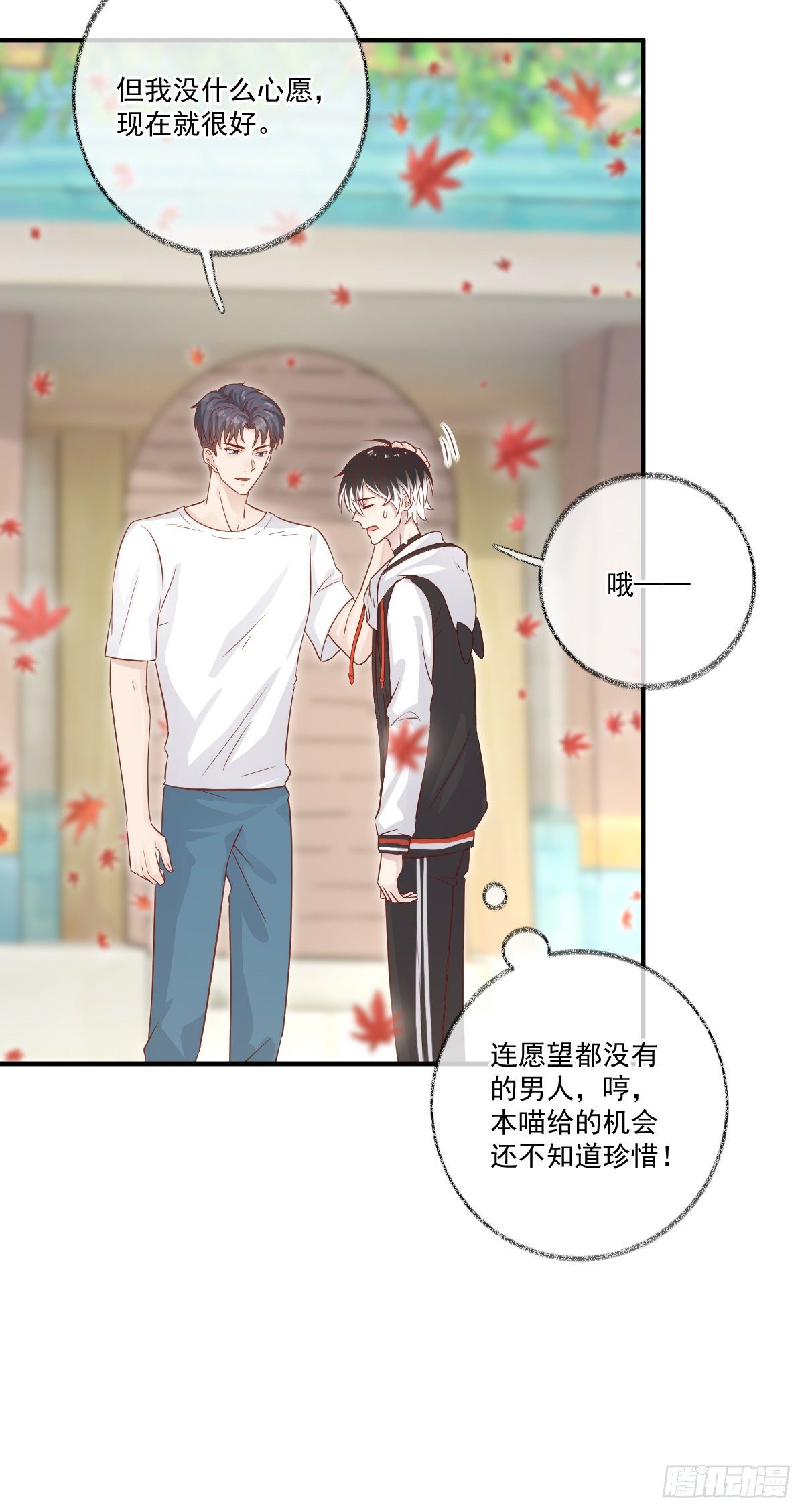 我养你喵~25