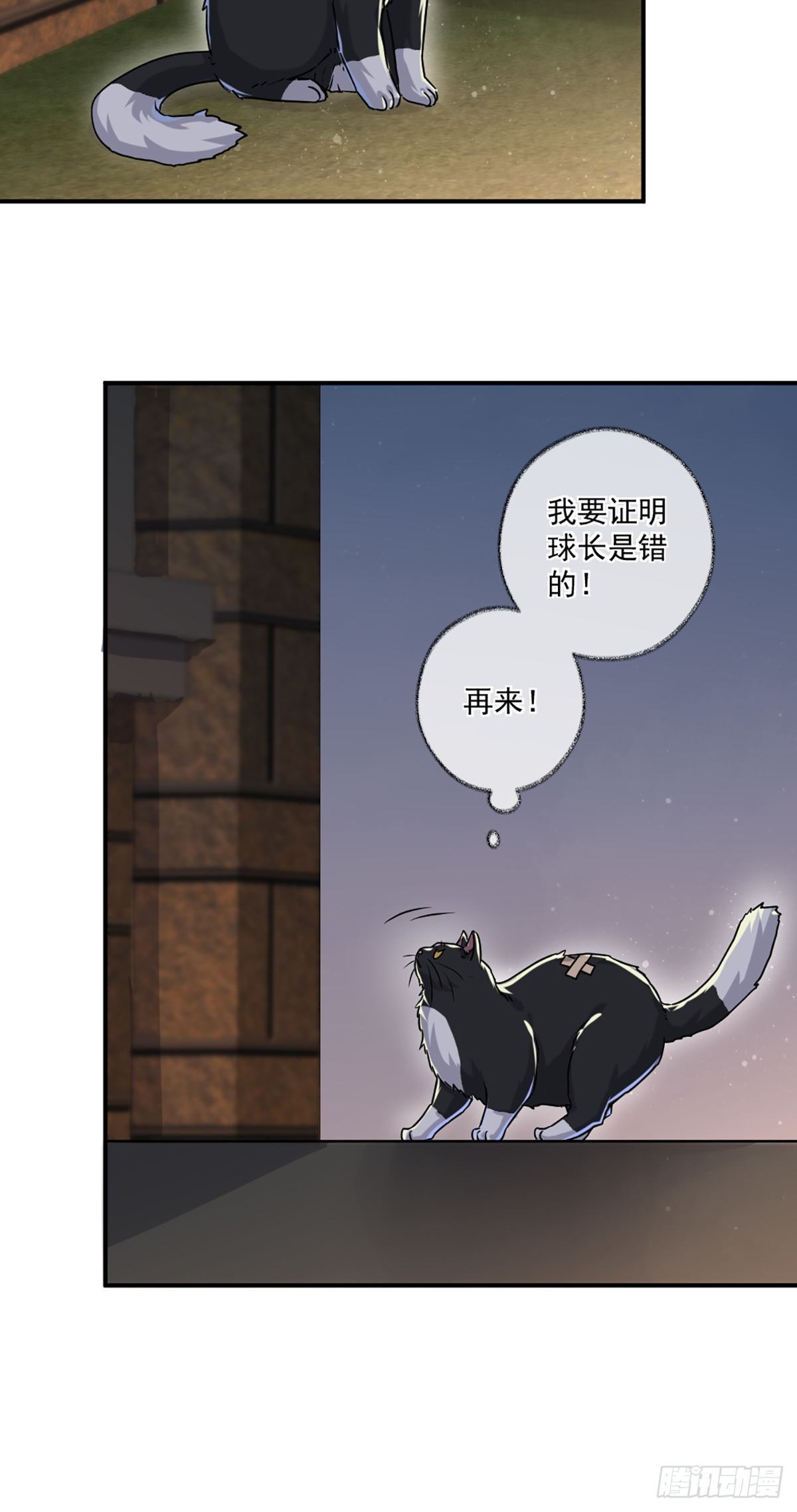 嘀嘀狗车15