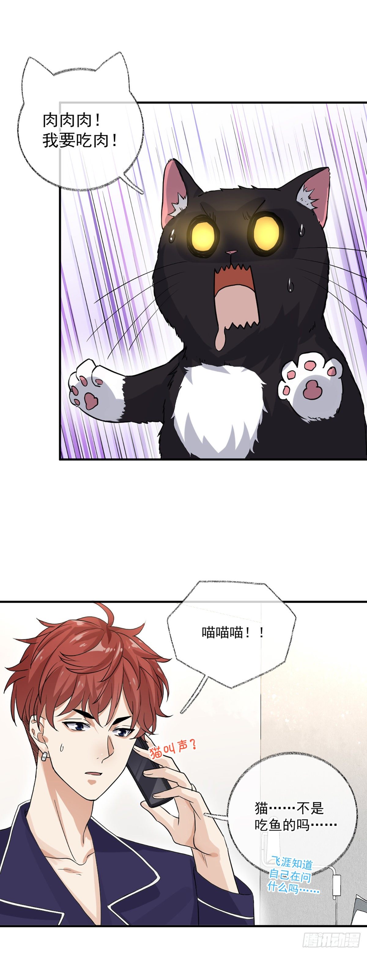 我要吃肉喵~6