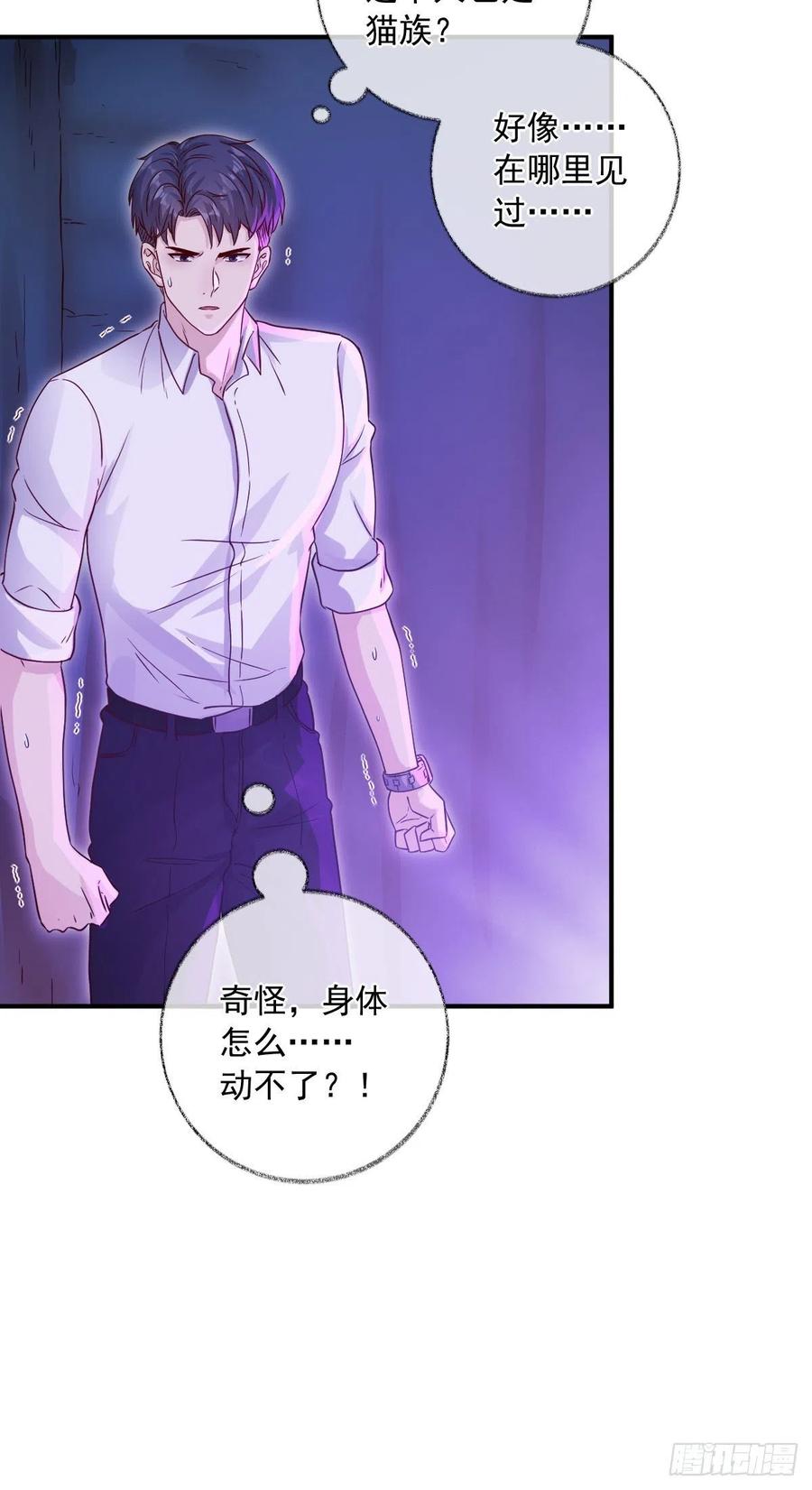 说不出再见喵~3